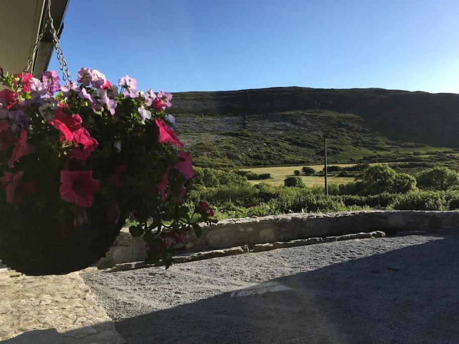 Fermoyle Properties Carleys Cottage Fanore Extérieur photo